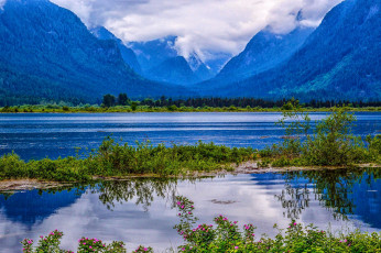 Картинка природа реки озера пейзаж