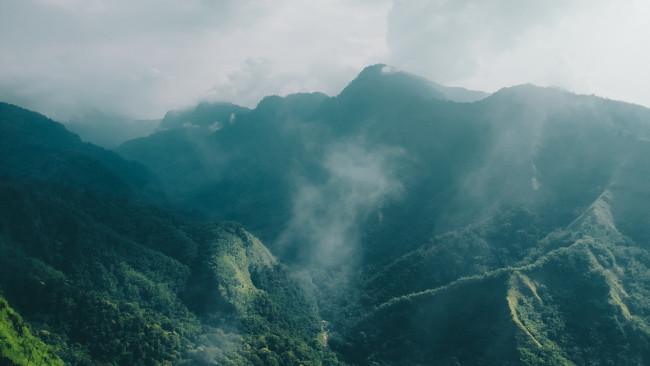 Обои картинки фото природа, горы, лес