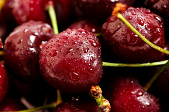 Картинка еда вишня +черешня