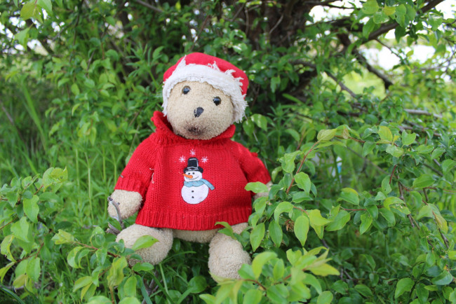 Обои картинки фото разное, игрушки, плюшевый, медвежонок