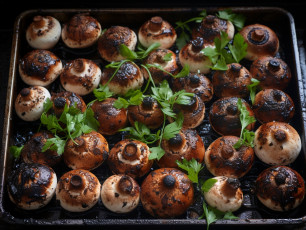 Картинка еда грибы +грибные+блюда шампиньоны