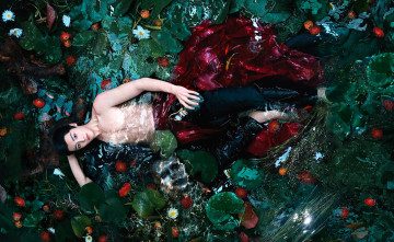 обоя кино фильмы, back from the brink, чжао, юань, чжоу, бутылка, озеро, цветы