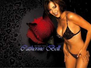 Картинка Catherine+Bell девушки