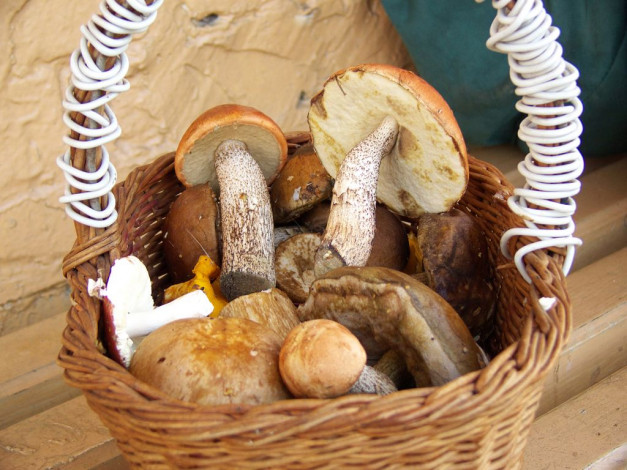 Обои картинки фото еда, грибы, грибные, блюда