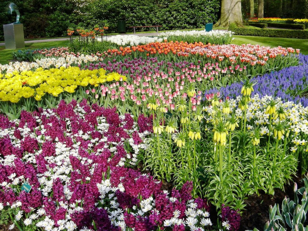 Обои картинки фото цветы, разные, вместе