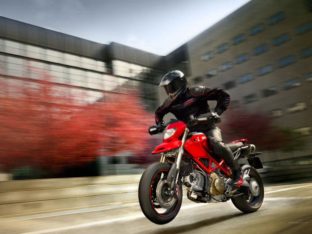 Обои картинки фото мотоциклы, ducati