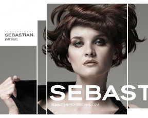 Картинка бренды sebastian
