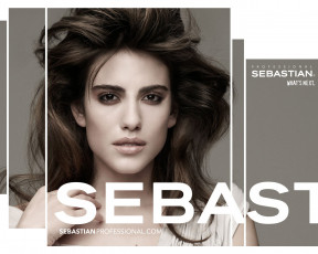 Картинка бренды sebastian