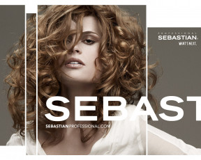 Картинка бренды sebastian