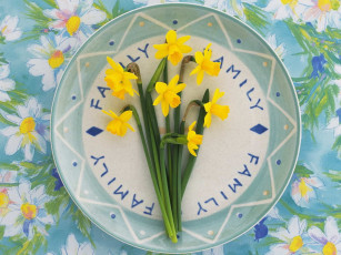 Картинка цветы нарциссы