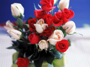 Картинка цветы розы