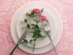 Картинка цветы розы