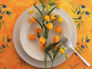 Картинка цветы сандерсония золотой ландыш