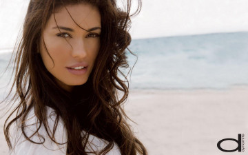 обоя бренды, dynamite