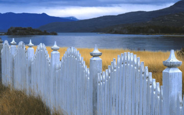 Картинка природа