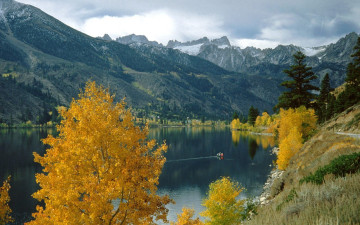 Картинка природа