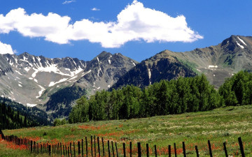 Картинка природа