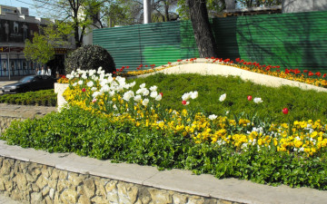 Картинка природа