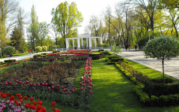 Картинка природа