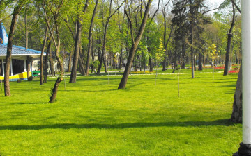 Картинка природа