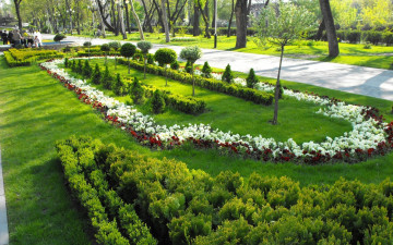 Картинка природа