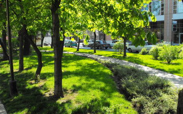 Картинка природа