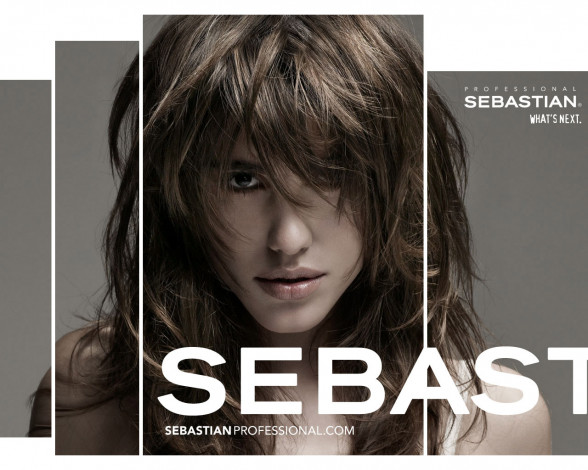 Обои картинки фото бренды, sebastian