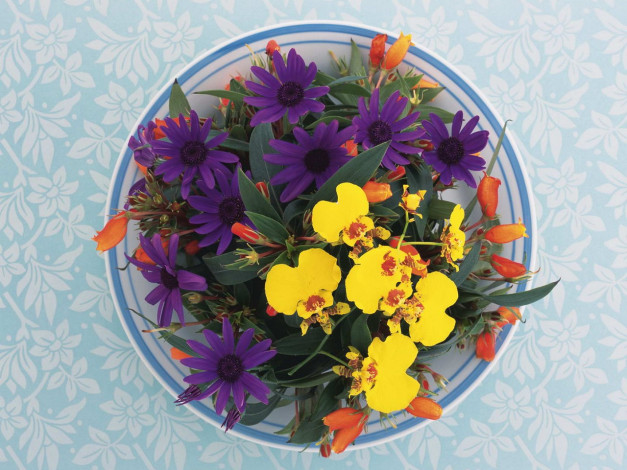 Обои картинки фото цветы, букеты, композиции