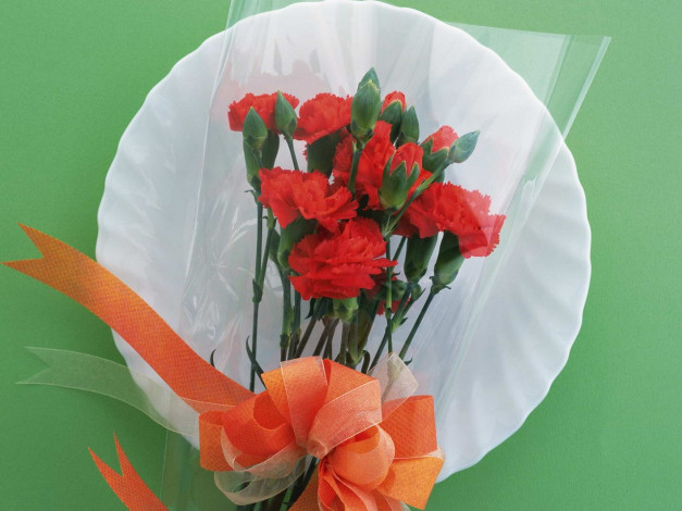 Обои картинки фото цветы, гвоздики