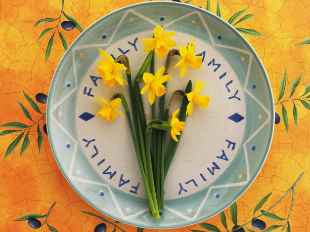 Обои картинки фото цветы, нарциссы