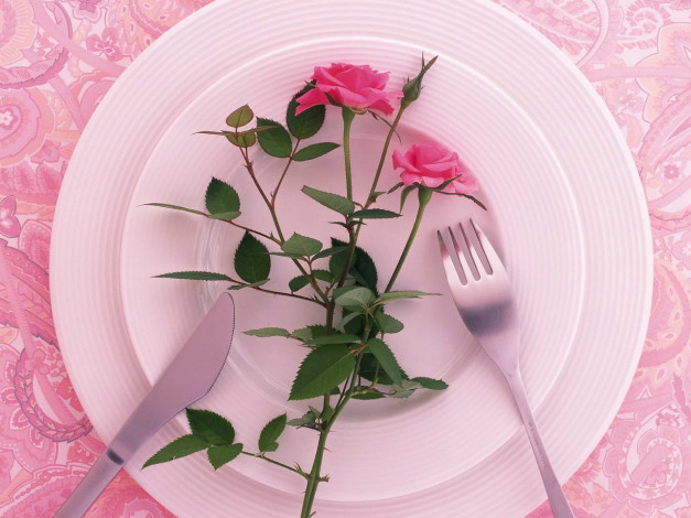 Обои картинки фото цветы, розы