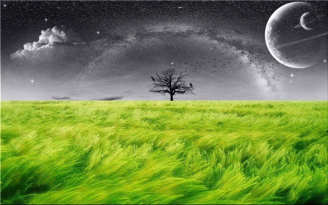 Обои картинки фото 3д, графика, atmosphere, mood, атмосфера, настроения