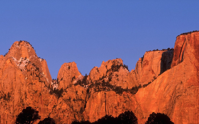 Обои картинки фото природа