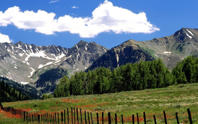 Обои картинки фото природа