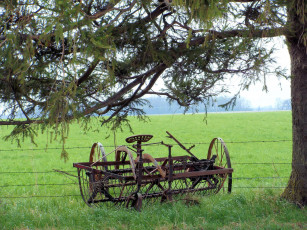 Картинка разное развалины руины металлолом дерево поле