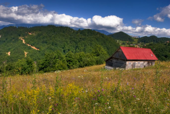 Картинка разное сооружения постройки румыния брашов