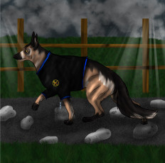 Картинка рисованные животные собаки собака