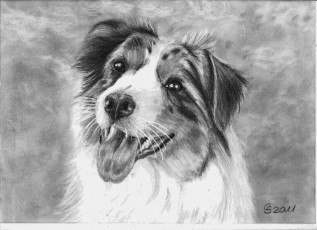 Картинка рисованные животные собаки собака