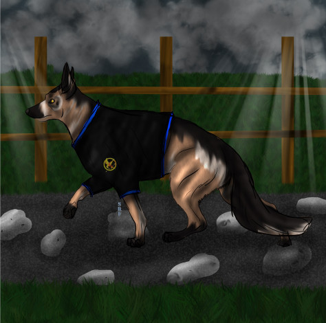 Обои картинки фото рисованные, животные, собаки, собака