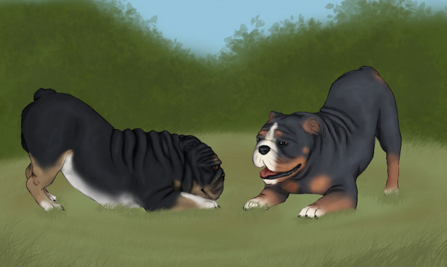 Обои картинки фото рисованные, животные, собаки