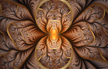 Картинка 3д+графика fractal+ фракталы узор фон цвета