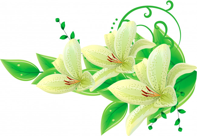 Обои картинки фото векторная графика, лилии