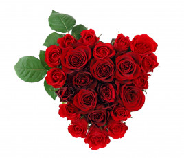 Картинка цветы розы красный