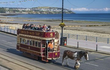 Картинка юмор+и+приколы конка