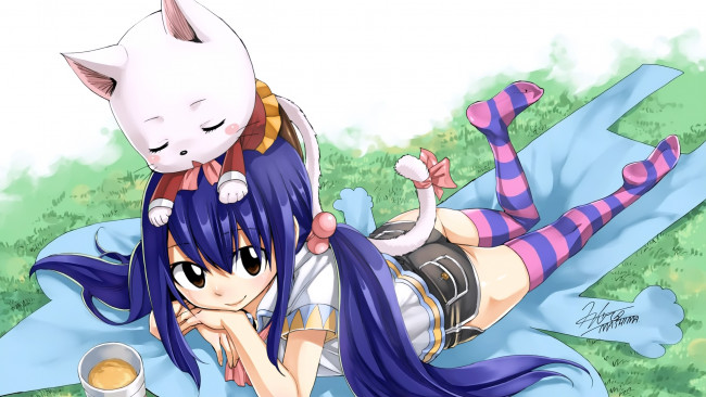 Обои картинки фото аниме, fairy tail, mashima, hiro, fairy, tail, charle, арт, девушка, кот, wendy, marvell