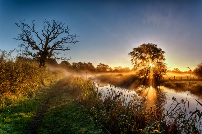 Обои картинки фото природа, восходы, закаты, рассвет, река, лес