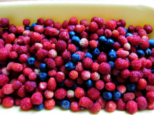 Картинка еда клубника +земляника земляника черника