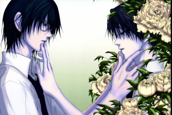 Картинка аниме prince+of+tennis yushi oshitari prince of tennis