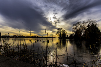 Картинка природа реки озера лес река