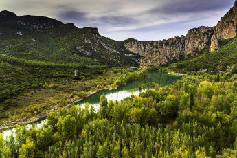 Картинка природа реки озера река лес